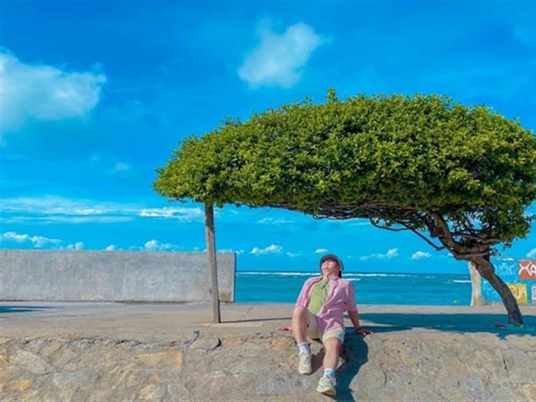 COMBO PHÚ QUÝ 3N2D