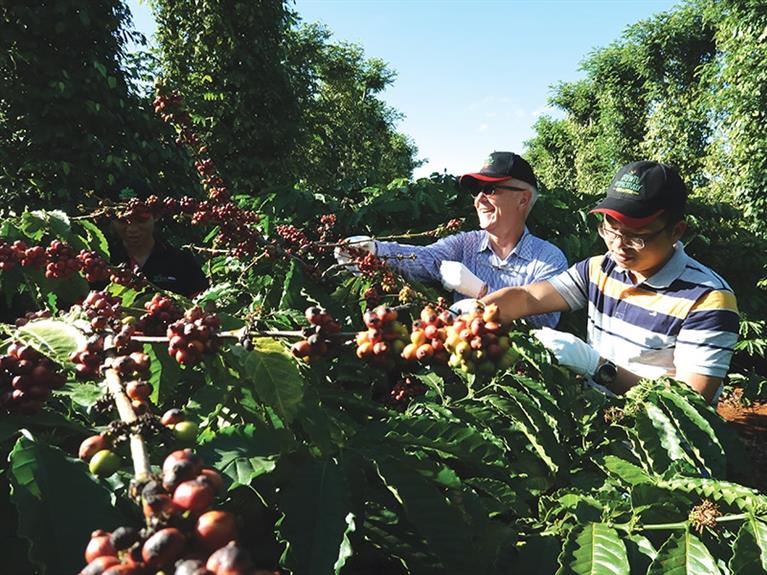 Farmstay Trend Embraces Countryside Charm