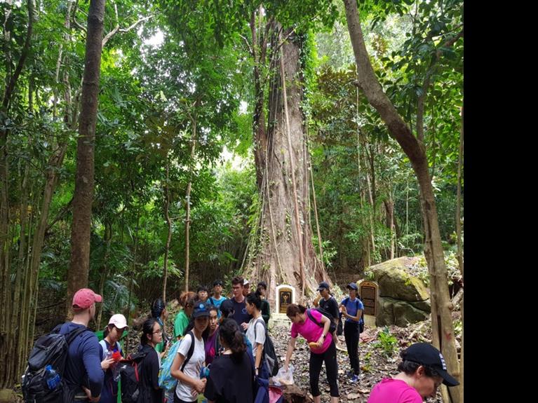 TOUR CÔN ĐẢO - HIKING CÂY DI SẢN - CÂY NHỘI