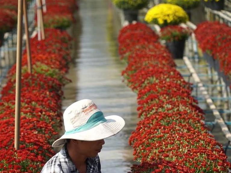  FULL DAY SA DEC CULTURAL TOUR – IN THE FOOTSTEPS OF “THE LOVER”