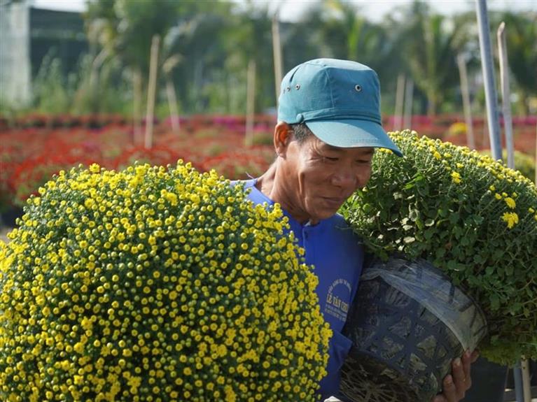 Tour ghép - LÀNG HOA SA ĐÉC 2026