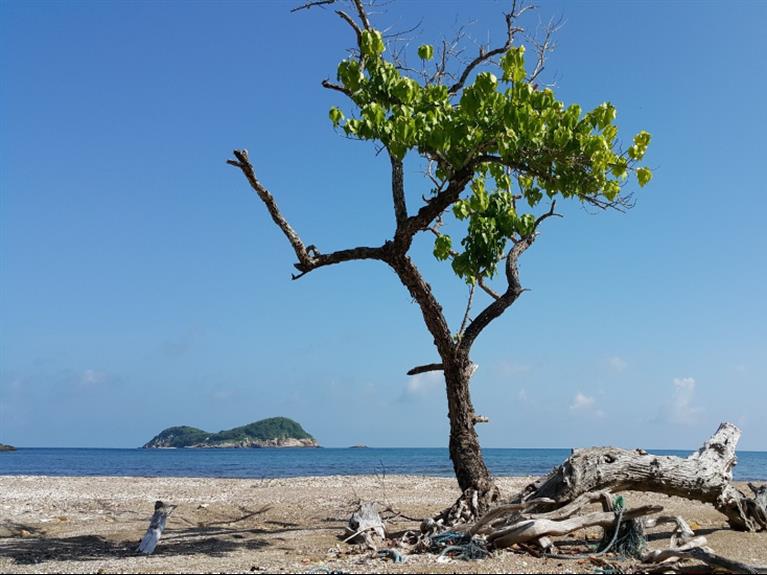 CON DAO TOUR - HIKING BAI BANG - DAT THAM