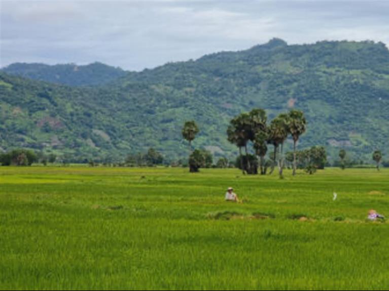TOUR CHÂU ĐỐC - KHÁM PHÁ ĐỒI TỨC DỤP VÀ RỪNG TRÀM TRÀ SƯ