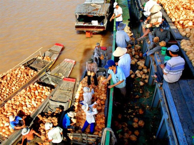 TOUR ĐÈN DẦU - TRẢI NGHIỆM ĐÈN DẦU, LÀM ĐÈN MÙ U