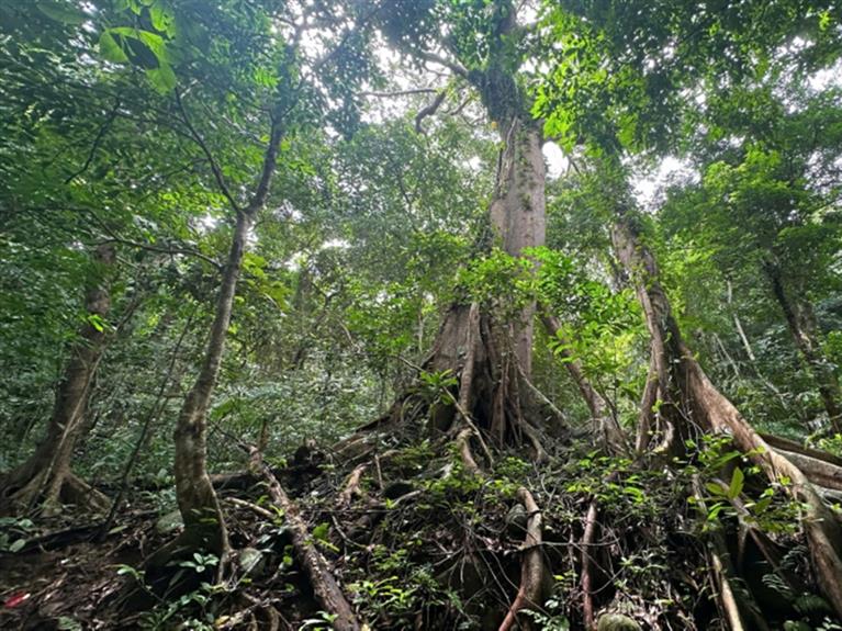 TOUR CÔN ĐẢO - HIKING ĐỈNH TÌNH YÊU 