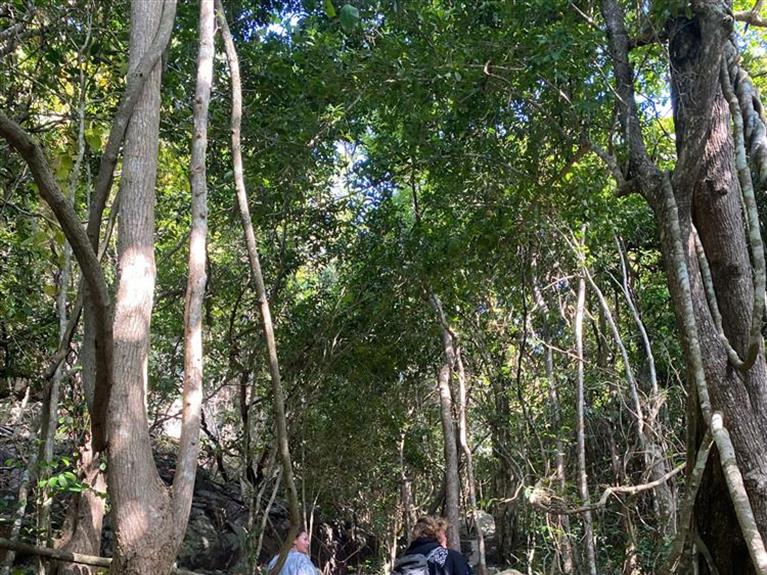 Con Dao tour - KING MOUNTAIN 