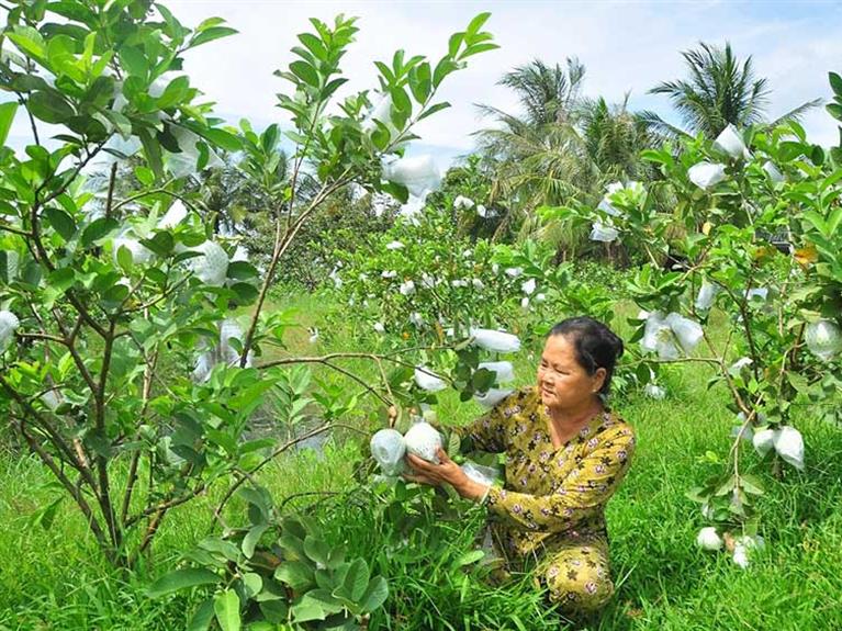 Discover the Beauty of Tân Lộc